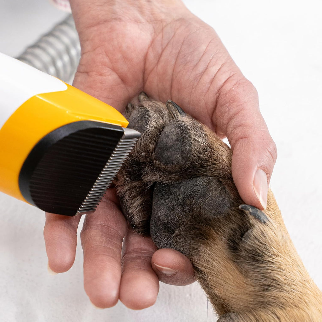 Helios - Low Noise, Light Weight, Strong Suction Pet Grooming & Vacuum - All-in-One Trimmer, De-Shedding & Cleaning System for Dogs & Cats